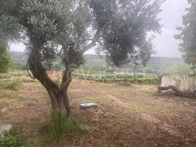 Villa Indipendente in affitto a Ortona, Abruzzo