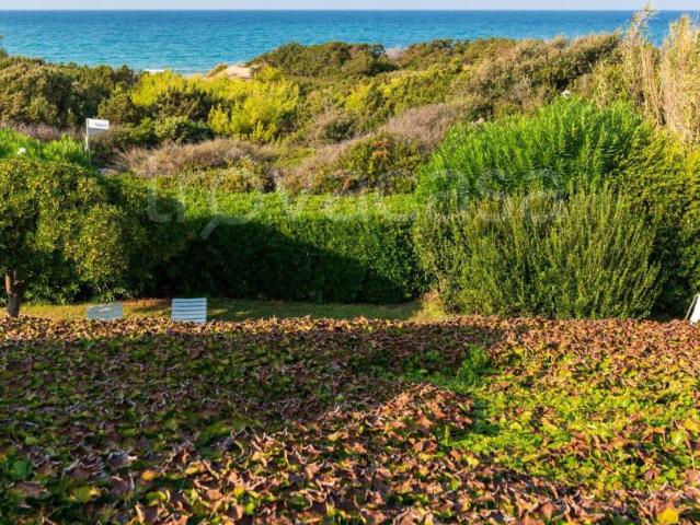 Villa Indipendente in affitto a Rosa Marina di Ostuni, Puglia