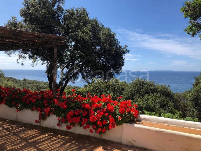 Villa Indipendente in affitto a San Felice Circeo, Lazio