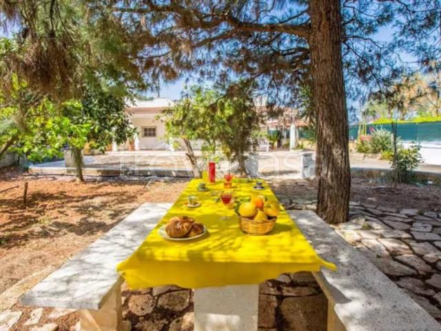 Villa Indipendente in affitto a Puglia, Brindisi