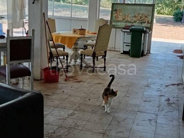 Villa Indipendente in affitto a Fabbreria, Campello Sul Clitunno