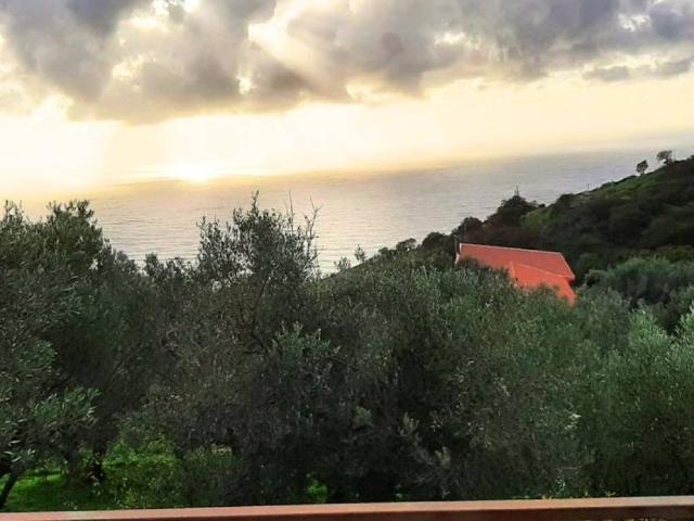 Villa Indipendente in vendita a Calabria, Cosenza