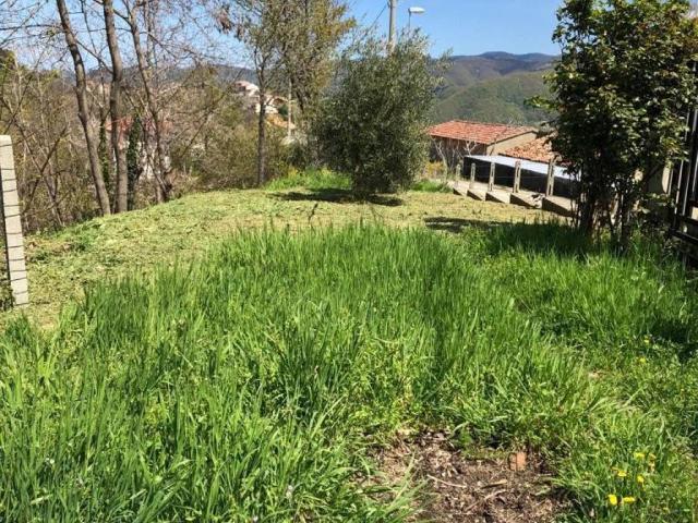 Villa Indipendente in vendita a Calabria, Cosenza