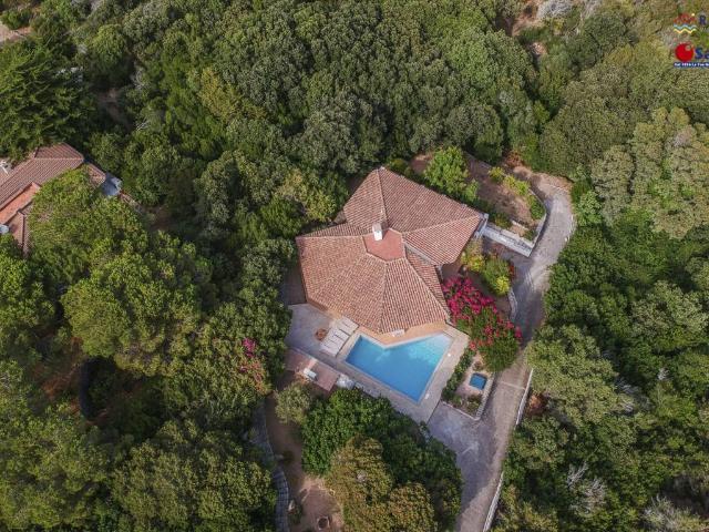 Villa Indipendente in vendita a Portobello di Gallura, Aglientu