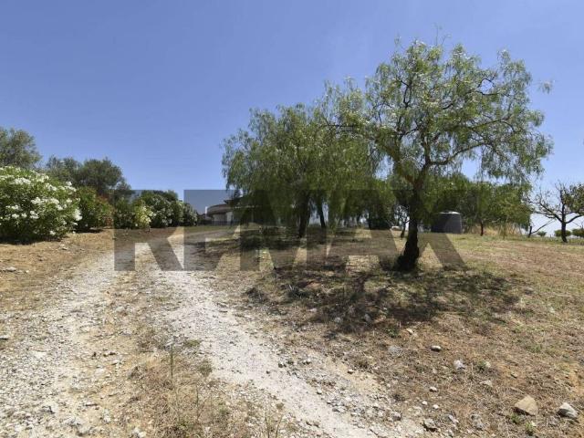 Villa Indipendente in vendita a San Giuseppe, Aidone
