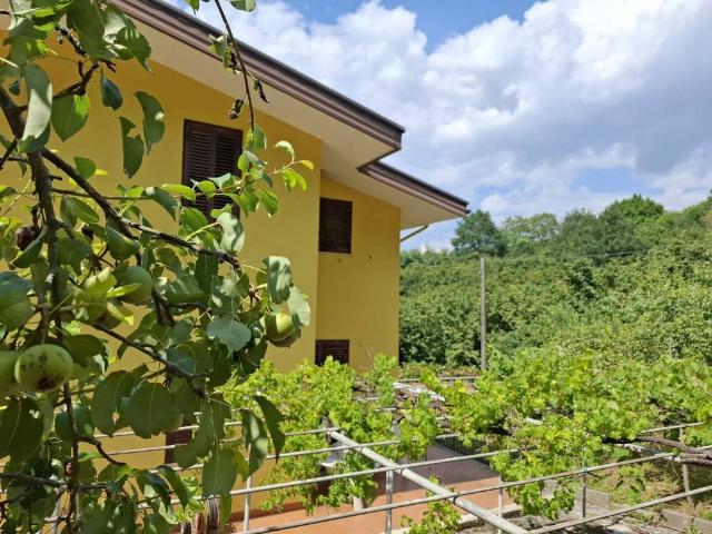 Villa Indipendente in vendita a Aiello Del Sabato, Campania