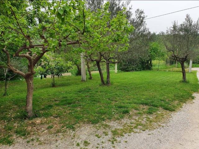 Villa Indipendente in vendita a Alanno, Abruzzo