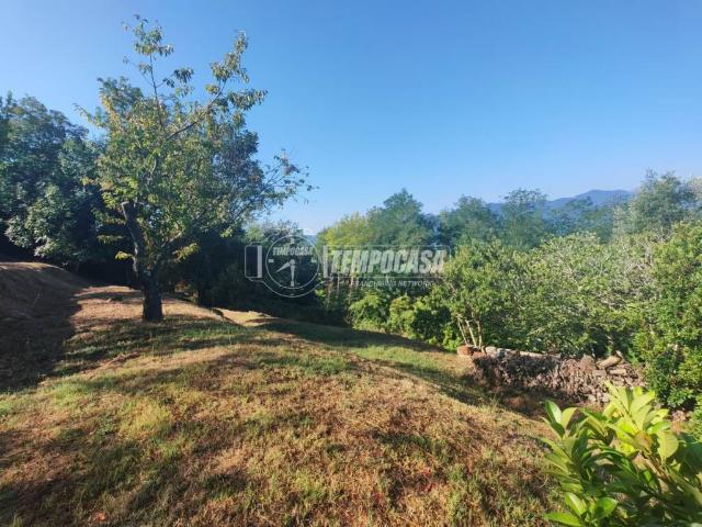 Villa Indipendente in vendita a Stellanello, Liguria