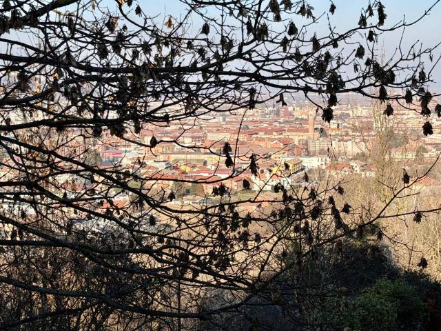 Villa Indipendente in vendita a San Cassiano, Piemonte
