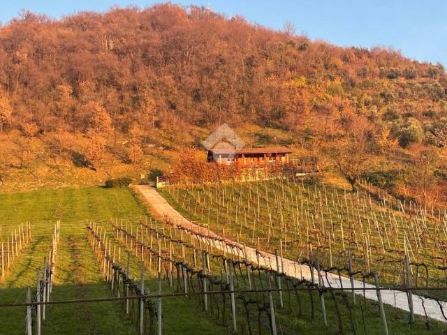 Villa Indipendente in vendita a Carbonera, Albano Sant'alessandro