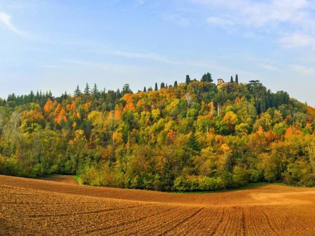 Villa Indipendente in vendita a Colline Matildiche, Re
