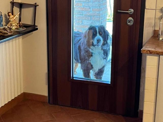Villa Indipendente in vendita a Colline Matildiche, Re