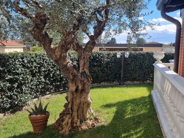 Villa Indipendente in vendita a Albizzate, Lombardia