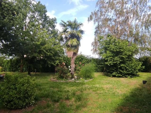 Villa Indipendente in vendita a Alluvioni Piovera, Piemonte