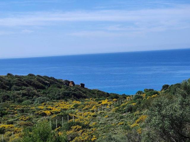 Villa Indipendente in vendita a Alghero, Sardigna/Sardegna