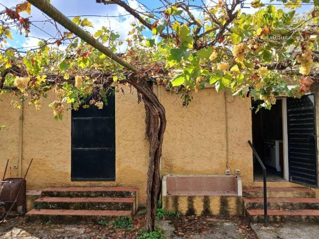 Villa Indipendente in vendita a Alghero, Sardigna/Sardegna