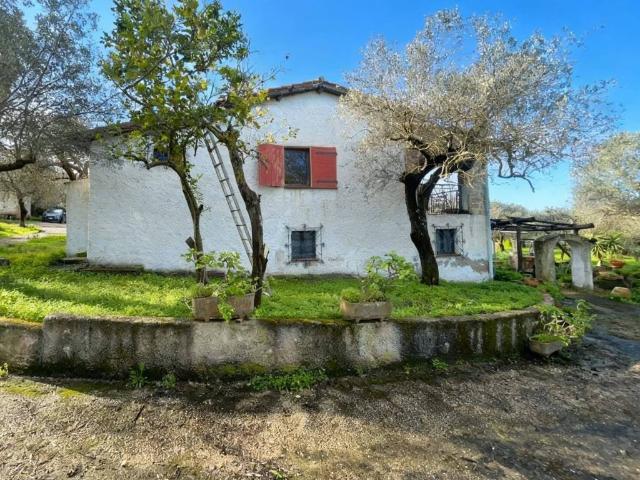 Villa Indipendente in vendita a La Cunetta, Alghero