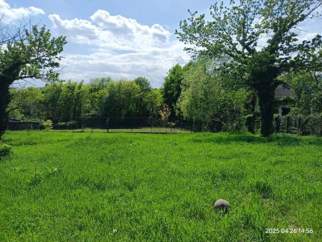 Villa Indipendente in vendita a Rivera, Almese
