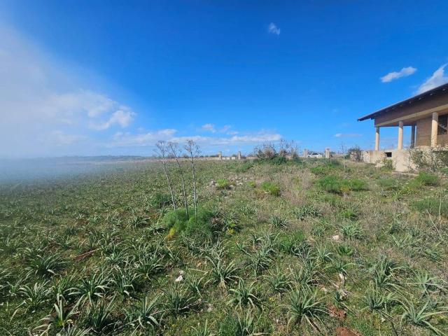 Villa Indipendente in vendita a Casal Sabini, Altamura