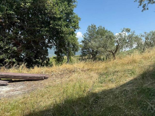Villa Indipendente in vendita a Altavilla Silentina, Campania