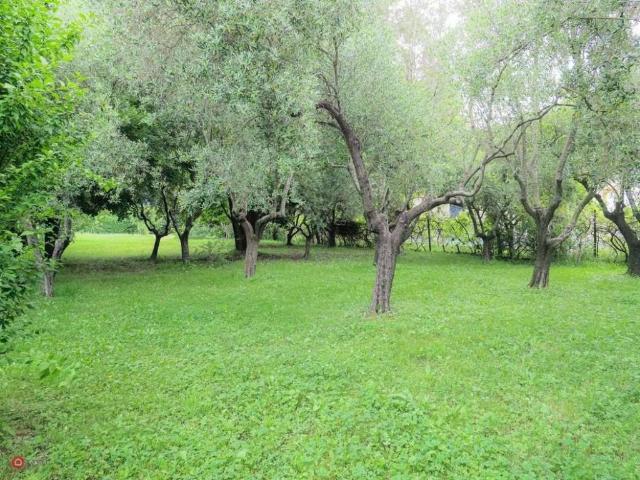 Villa Indipendente in vendita a Cafaggio, Ameglia