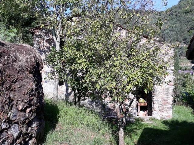 Villa Indipendente in vendita a Cafaggio, Ameglia