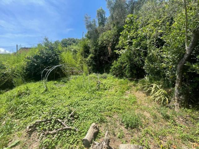 Villa Indipendente in vendita a Cafaggio, Ameglia