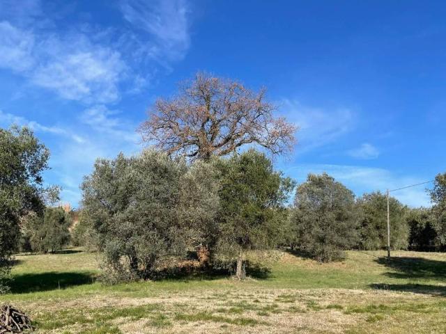 Villa Indipendente in vendita a Archileggi, Amelia