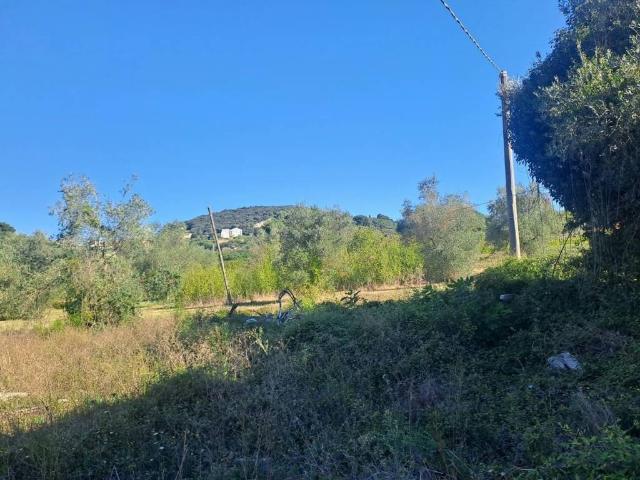 Villa Indipendente in vendita a Amelia, Umbria