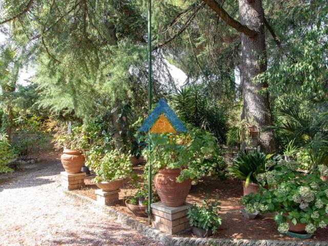 Villa Indipendente in vendita a Archileggi, Amelia