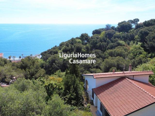 Villa Indipendente in vendita a Andora, Liguria