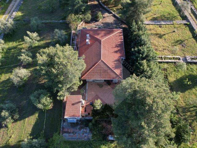 Villa Indipendente in vendita a Puglia, Barletta-andria-trani