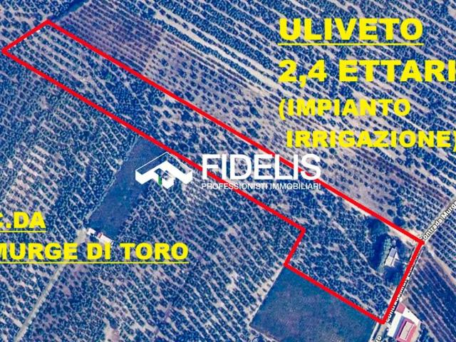Villa Indipendente in vendita a Puglia, Barletta-andria-trani