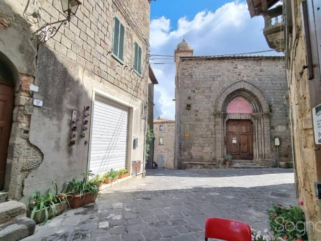 Villa Indipendente in vendita a Unione dei Comuni Montani Amiata Grossetana, Arcidosso