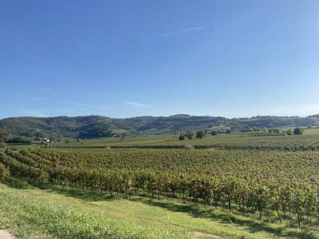 Villa Indipendente in vendita a Arcugnano, Veneto