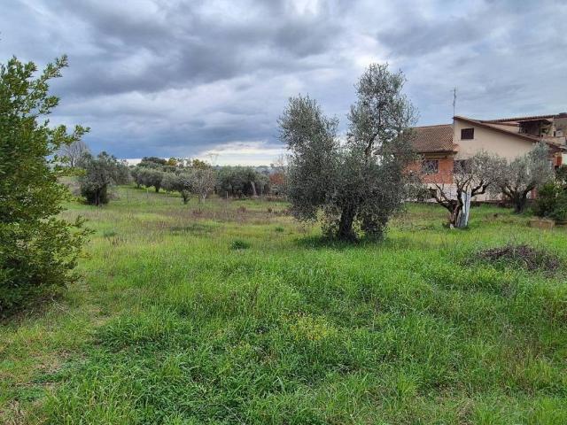 Villa Indipendente in vendita a Madonnina, Roma Capitale