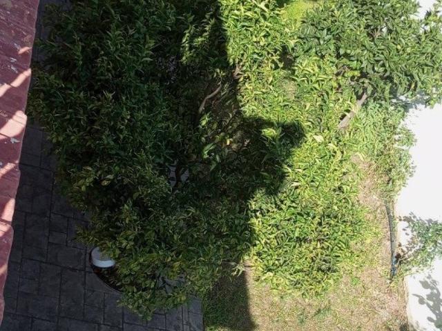 Villa Indipendente in vendita a Nuova Florida, Roma Capitale