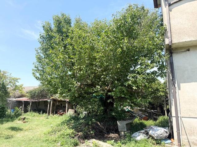 Villa Indipendente in vendita a Valle del Pantano, Roma Capitale