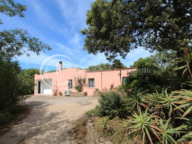 Villa Indipendente in vendita a Alzachèna/Arzachena, Cannigione