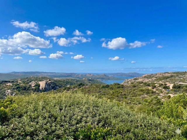Villa Indipendente in vendita a Alzachèna/Arzachena, Arzachena