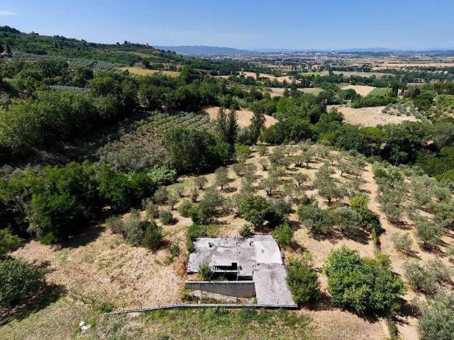 Villa Indipendente in vendita a Assisi, Umbria