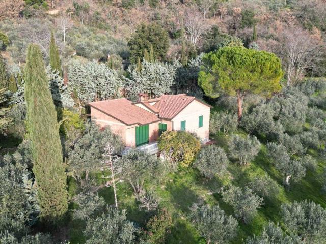 Villa Indipendente in vendita a Assisi, Umbria