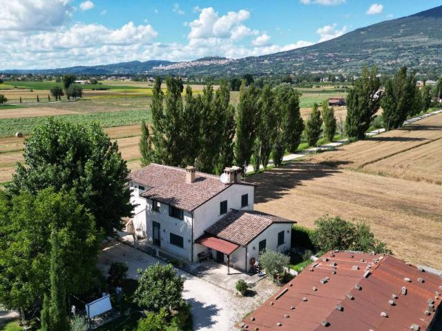 Villa Indipendente in vendita a Assisi, Umbria