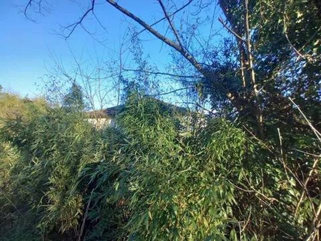 Villa Indipendente in vendita a Unione di comuni Montana Lunigiana, Aulla