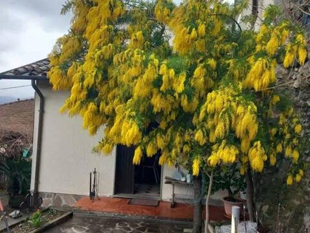 Villa Indipendente in vendita a Unione di comuni Montana Lunigiana, Aulla