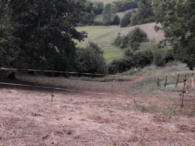 Villa Indipendente in vendita a Unione di comuni Montana Lunigiana, Aulla