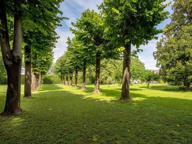 Villa Indipendente in vendita a Aviano, Friuli-Venezia Giulia