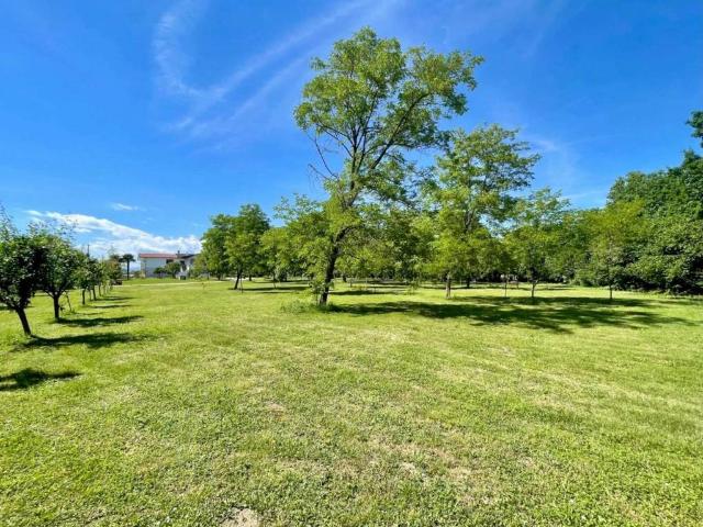 Villa Indipendente in vendita a Azzano Decimo / Daçan di Pordenon, Azzano Decimo