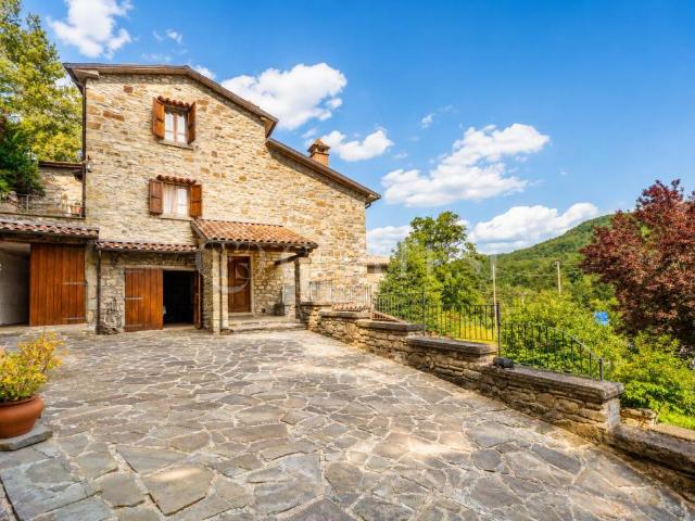 Villa Indipendente in vendita a Badia Tedalda, Toscana