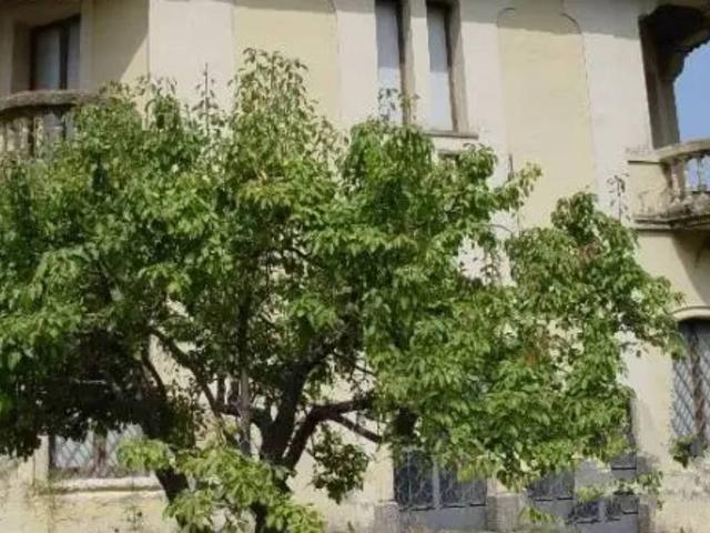 Villa Indipendente in vendita a Calabria, Reggio Calabria